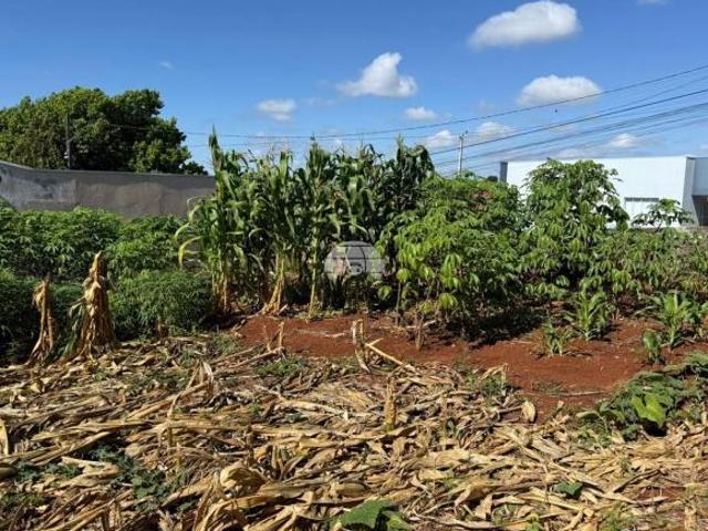Terreno venda em Região Geográfica Imediata de Pato Branco, Região Sul