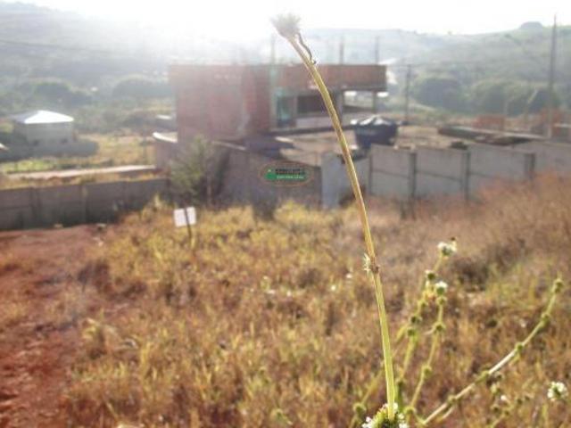 Terreno venda em Região Geográfica Imediata de São João del Rei, Lagoa dourada
