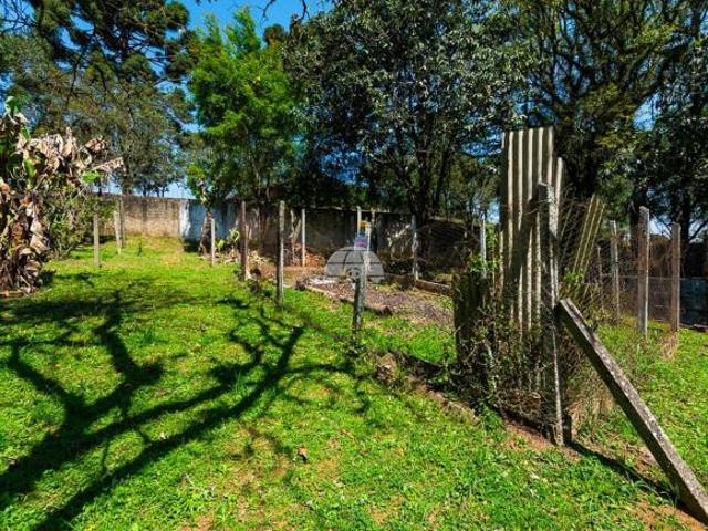 Terreno venda em Região Geográfica Imediata de Curitiba, Região Metropolitana de Curitiba
