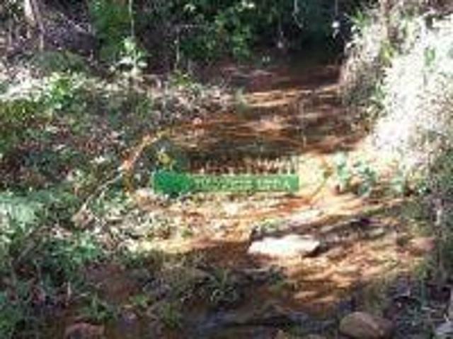 Sítio e chácara venda em Região Geográfica Imediata de Conselheiro Lafaiete, Lamim