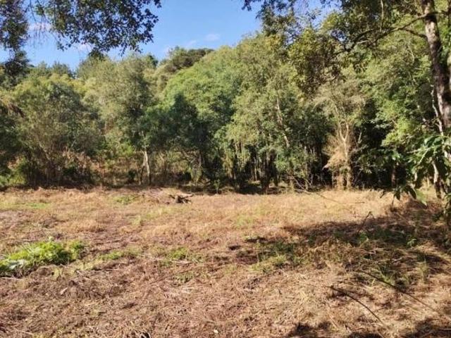 Apartamento venda em Região Geográfica Imediata de União da Vitória, São Mateus do Sul