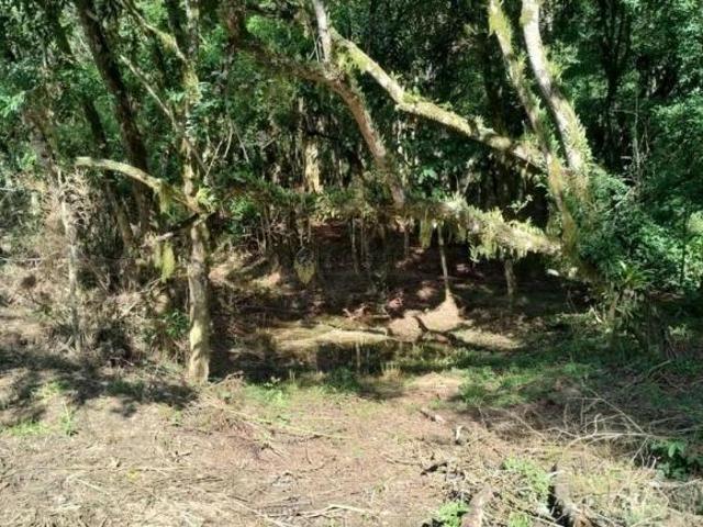 Apartamento venda em Região Geográfica Imediata de União da Vitória, São Mateus do Sul