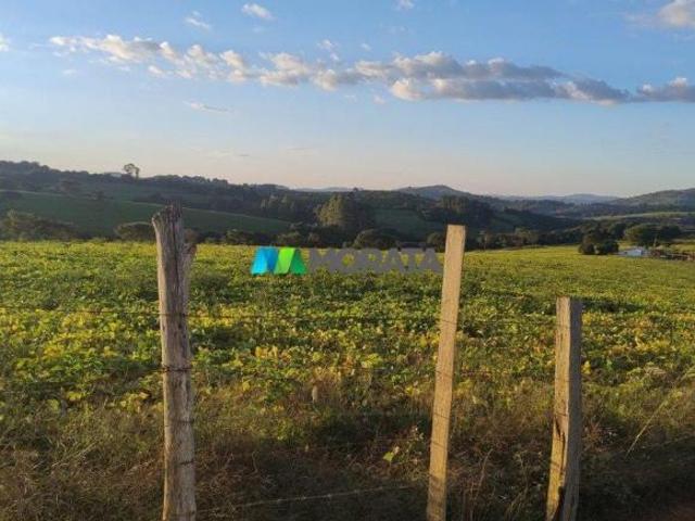 Sítio e chácara venda em Região Geográfica Imediata de Lavras, Lavras