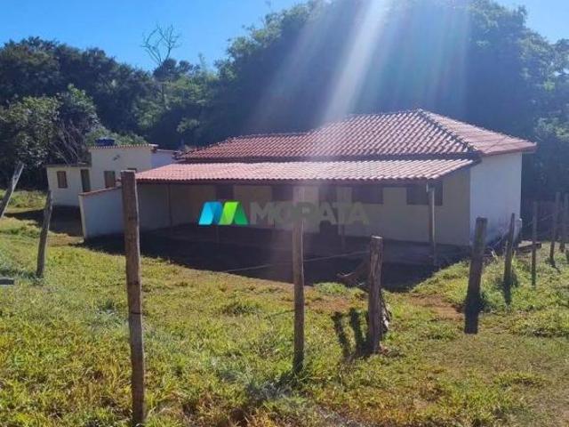 Sítio e chácara venda em Região Geográfica Imediata de Lavras, Lavras