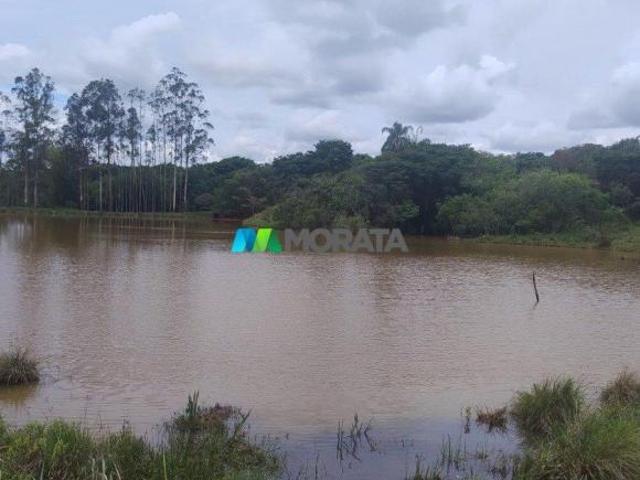 Sítio e chácara venda em Região Geográfica Imediata de Lavras, Lavras