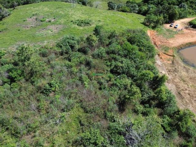 Sítio e chácara venda em Região Geográfica Imediata de Cataguases, Leopoldina