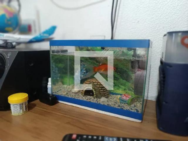 Apartamento aluguel em Macaé