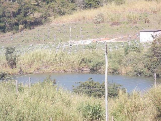 Sítio e chácara venda em Região Imediata de Campinas, Região Metropolitana de Campinas