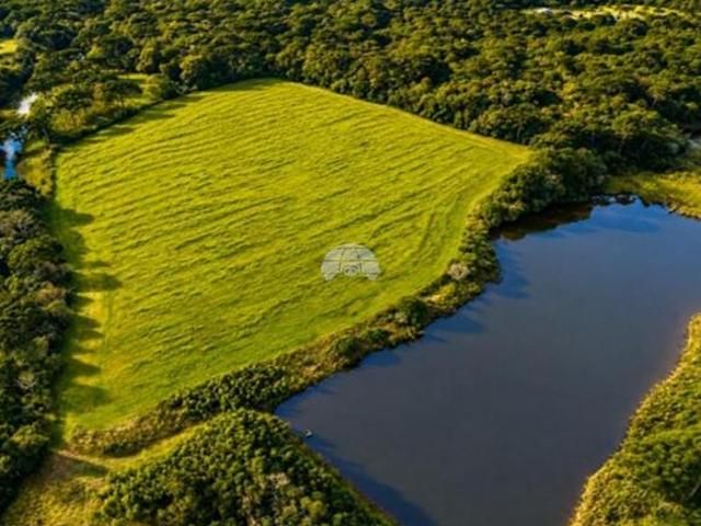 Sítio e chácara venda em Região Geográfica Imediata de Curitiba, Região Metropolitana de Curitiba