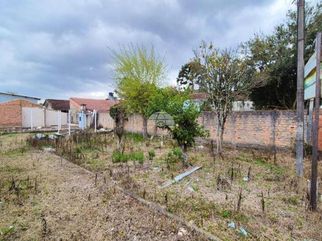 Terreno venda em Maria Antonieta, Pinhais