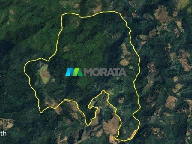 Sítio e chácara venda em Mariana, Região Geográfica Intermediária de Belo Horizonte
