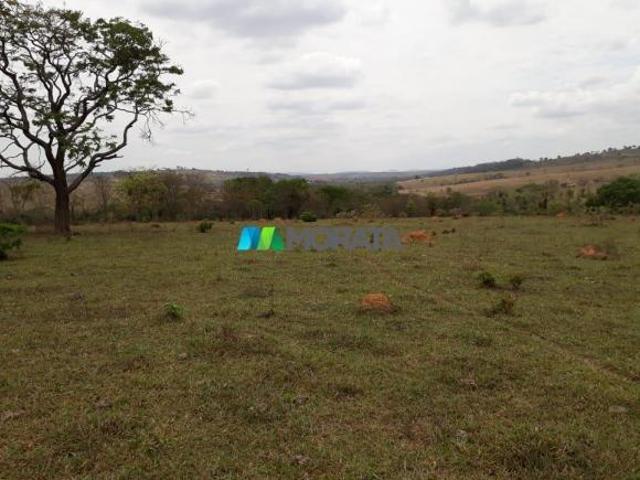 Sítio e chácara venda em Região Geográfica Imediata de Dores do Indaiá, Martinho Campos