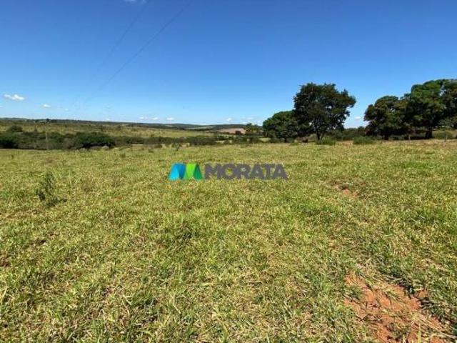 Sítio e chácara venda em Região Geográfica Imediata de Dores do Indaiá, Martinho Campos