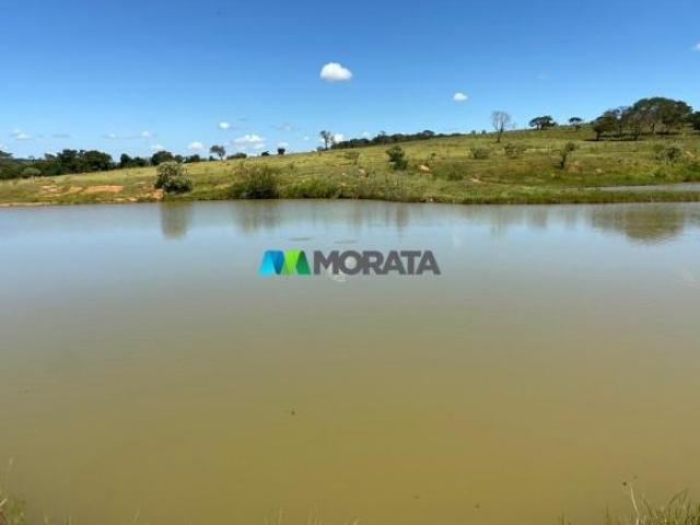 Sítio e chácara venda em Região Geográfica Imediata de Dores do Indaiá, Martinho Campos