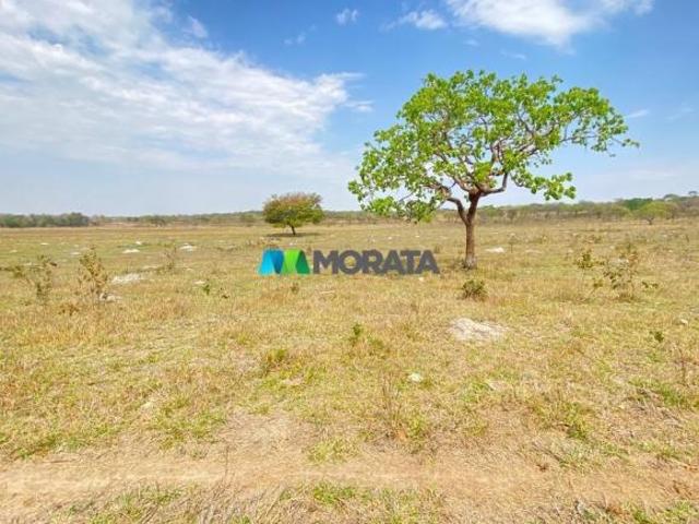 Sítio e chácara venda em Região Geográfica Imediata de Dores do Indaiá, Martinho Campos