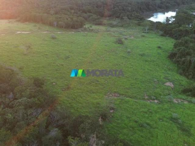 Sítio e chácara venda em Região Geográfica Imediata de Dores do Indaiá, Martinho Campos