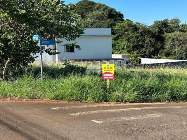 Terreno venda em Região Geográfica Imediata de Pato Branco, Região Sul