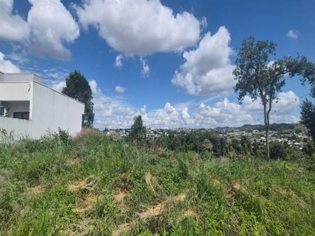 Terreno venda em Região Geográfica Imediata de Pato Branco, Região Sul