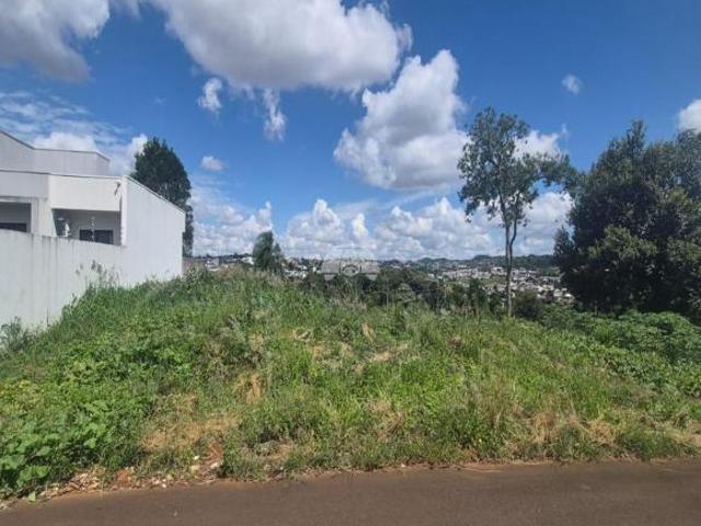 Terreno venda em Região Geográfica Imediata de Pato Branco, Região Sul