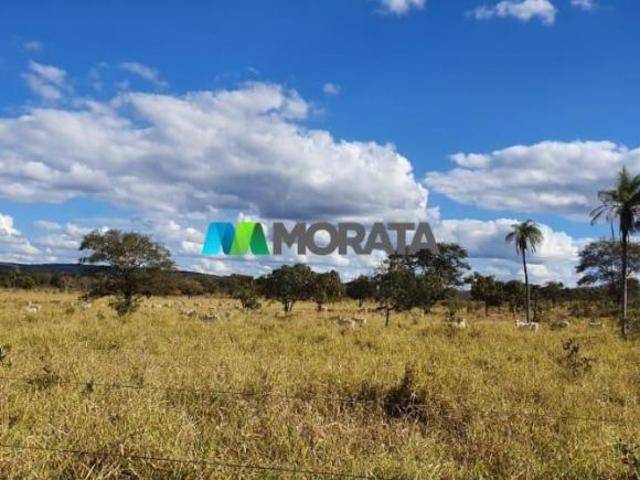 Sítio e chácara venda em Montes Claros, Região Geográfica Intermediária de Montes Claros