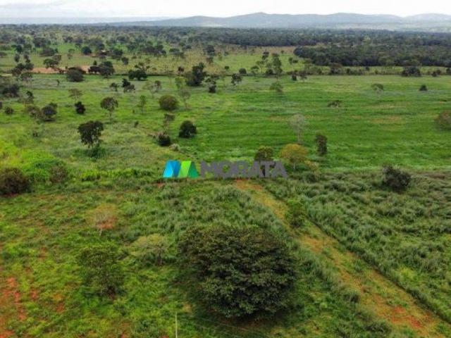 Sítio e chácara venda em Região Geográfica Imediata de Abaeté, Morada Nova de Minas