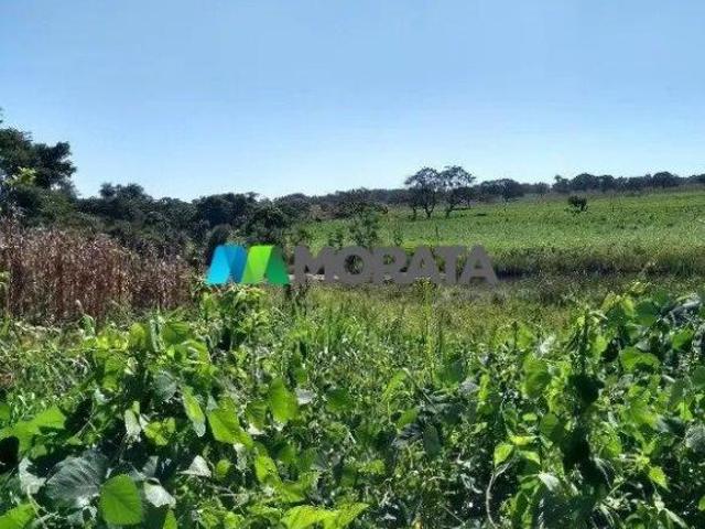 Sítio e chácara venda em Região Geográfica Imediata de Abaeté, Morada Nova de Minas