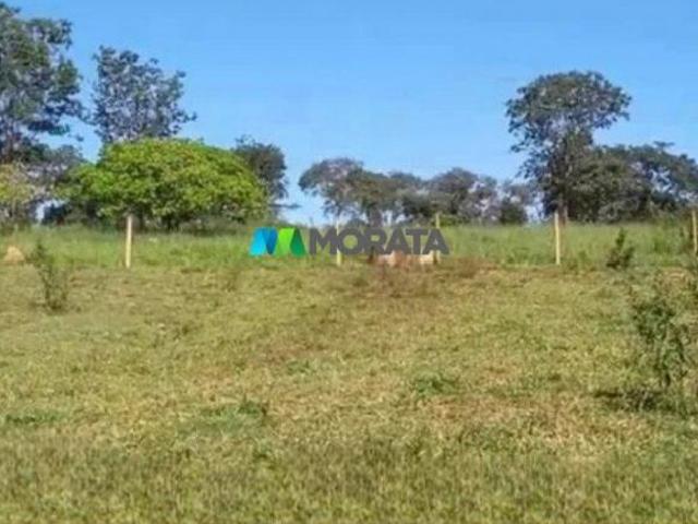 Sítio e chácara venda em Região Geográfica Imediata de Abaeté, Morada Nova de Minas