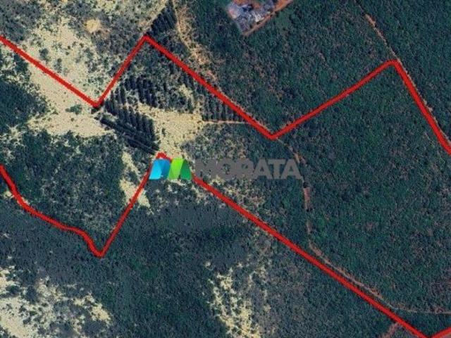 Sítio e chácara venda em Região Geográfica Imediata de Abaeté, Morada Nova de Minas