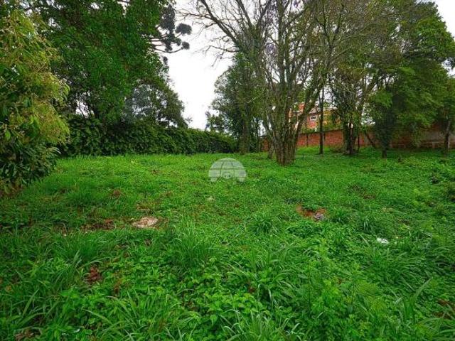 Terreno venda em Região Geográfica Imediata de Curitiba, Região Metropolitana de Curitiba