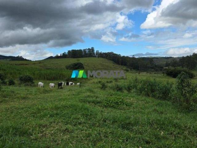 Sítio e chácara venda em Região Geográfica Imediata de Muriaé, Muriaé