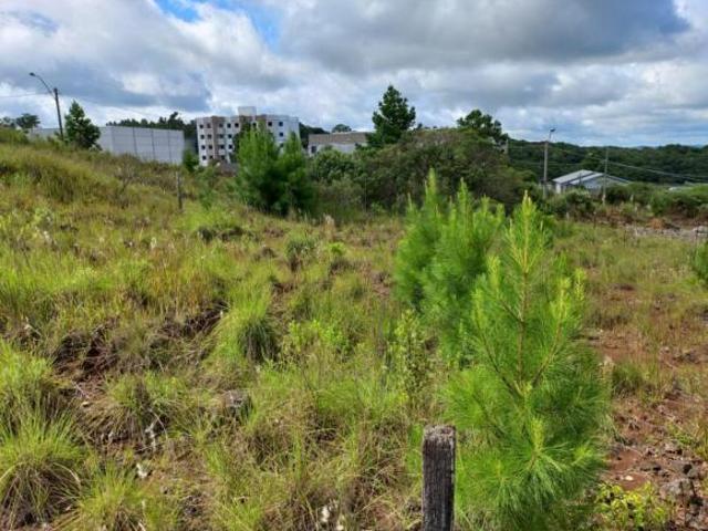 Terreno venda em Região Geográfica Imediata de Caxias do Sul, Caxias do Sul