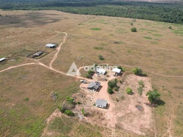 Sítio e chácara venda em Região Geográfica Imediata de Diamantino, Nova Maringa