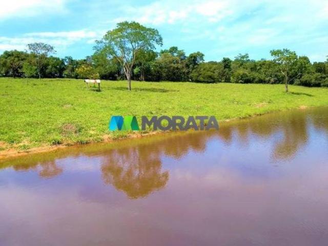 Sítio e chácara venda em Região Geográfica Imediata de Divinópolis, Nova Serrana
