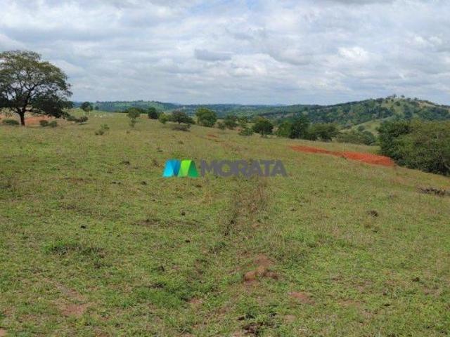Sítio e chácara venda em Região Geográfica Imediata de Divinópolis, Nova Serrana