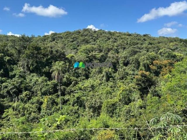 Sítio e chácara venda em Região Geográfica Imediata de Pará de Minas, Onça de Pitangui