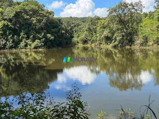 Sítio e chácara venda em Região Geográfica Imediata de Pará de Minas, Onça de Pitangui