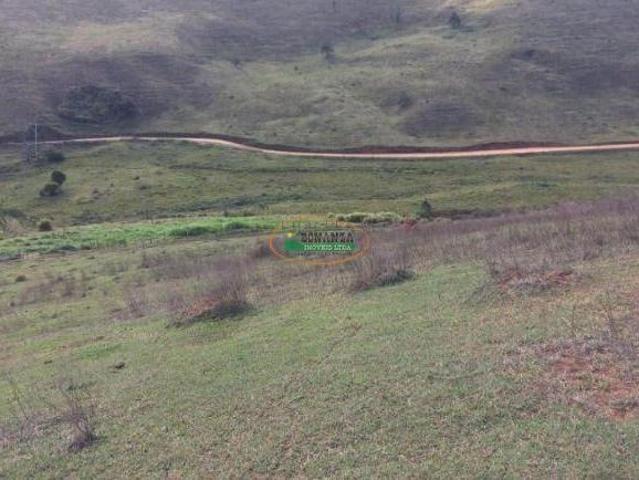 Sítio e chácara venda em Região Geográfica Imediata de Conselheiro Lafaiete, Ouro Branco