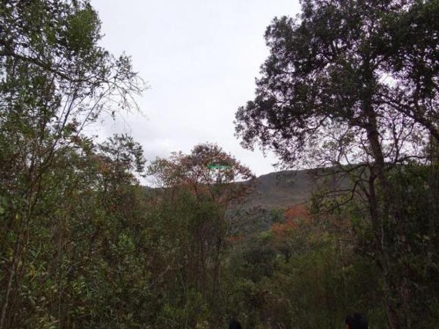 Terreno venda em Região Geográfica Imediata de Conselheiro Lafaiete, Ouro Branco
