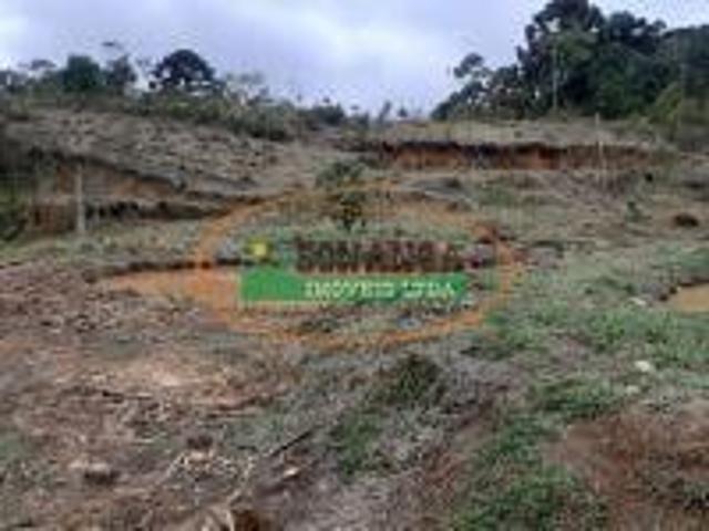 Sítio e chácara venda em Região Geográfica Imediata de Santa Bárbara - Ouro Preto, Ouro Preto