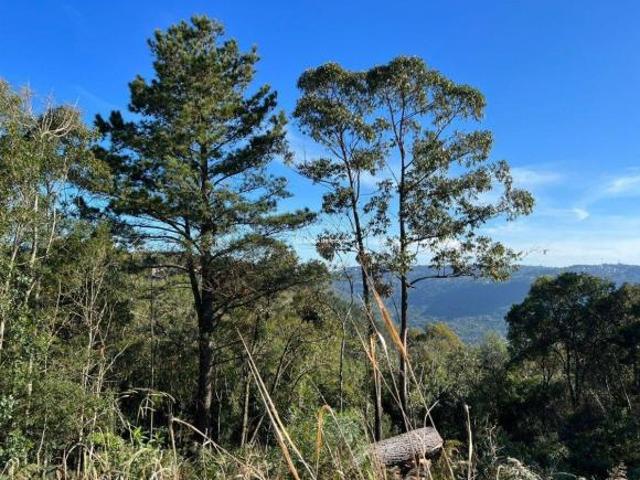 Terreno venda em Região Geográfica Imediata de Caxias do Sul, Canela