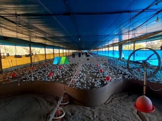 Sítio e chácara venda em Região Geográfica Imediata de Pará de Minas, Pará de Minas