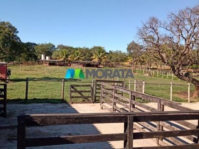 Sítio e chácara venda em Região Geográfica Imediata de Sete Lagoas, Paraopeba
