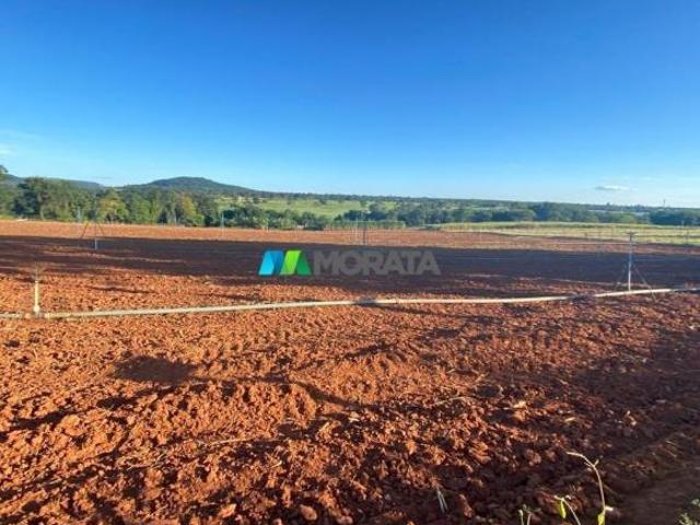 Sítio e chácara venda em Região Geográfica Imediata de Sete Lagoas, Paraopeba