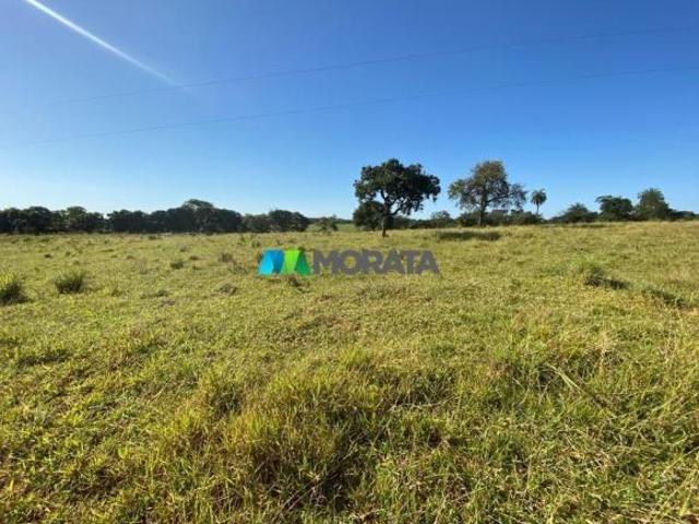 Sítio e chácara venda em Região Geográfica Imediata de Sete Lagoas, Paraopeba