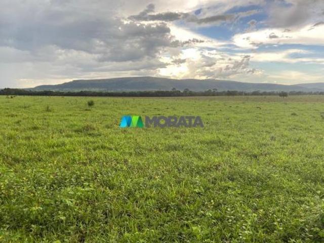 Sítio e chácara venda em Paraopeba, Região Geográfica Intermediária de Belo Horizonte