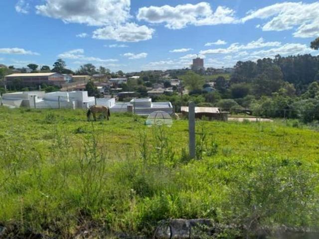Terreno venda em Passo Fundo