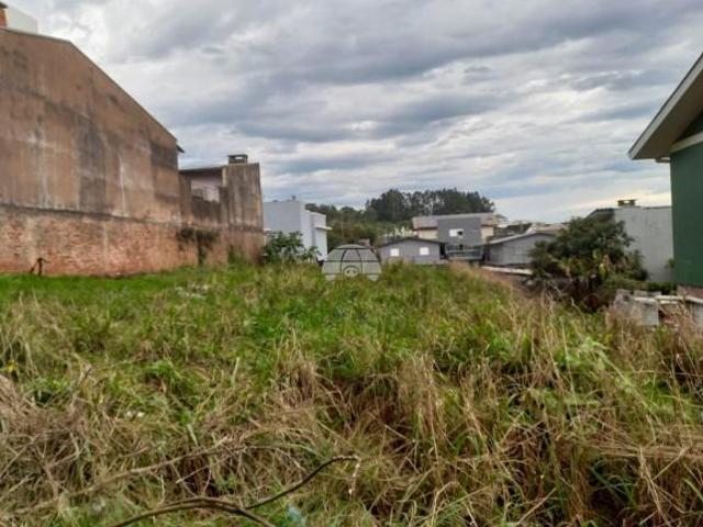 Terreno venda em Passo Fundo