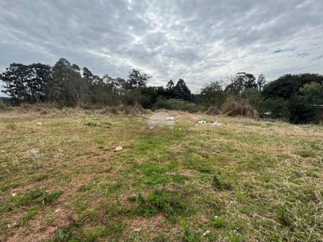Terreno venda em Passo Fundo