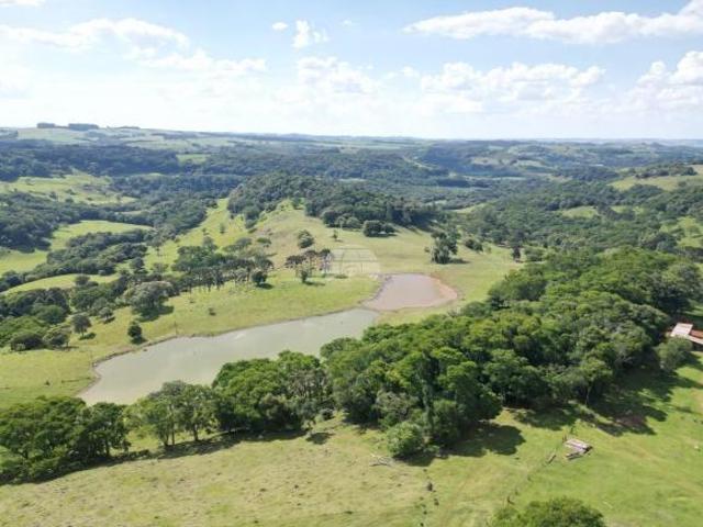 Sítio e chácara venda em Região Geográfica Imediata de Pato Branco, Região Sul
