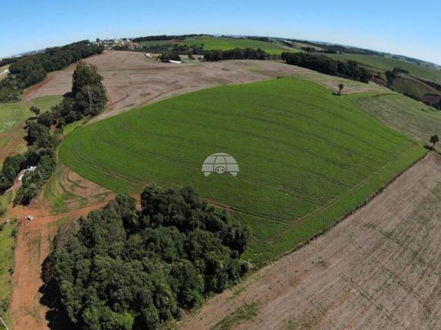 Terreno venda em Região Geográfica Imediata de Pato Branco, Região Sul